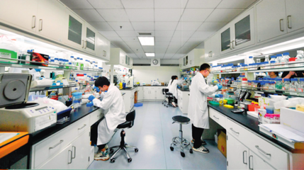 人工合成己糖 生物技术前沿的创新探索