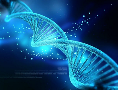 生物基因领域的新动力 傲锐东源生物基因加盟推动生物研究发展