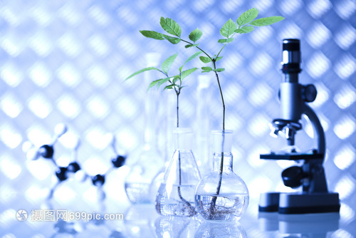 实验室生物有机现代概念在生物研究中的核心应用