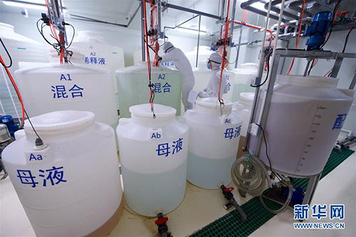 探索生命奥秘 中国科学院植物研究所的生物研究前沿